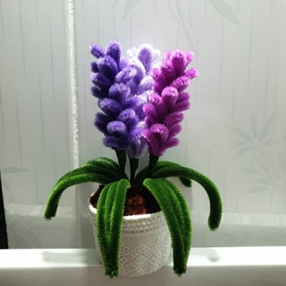 Chậu hoa lavender mini để bàn