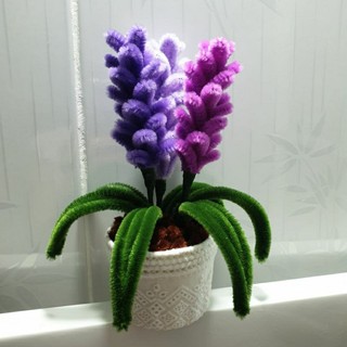 Chậu hoa lavender mini để bàn