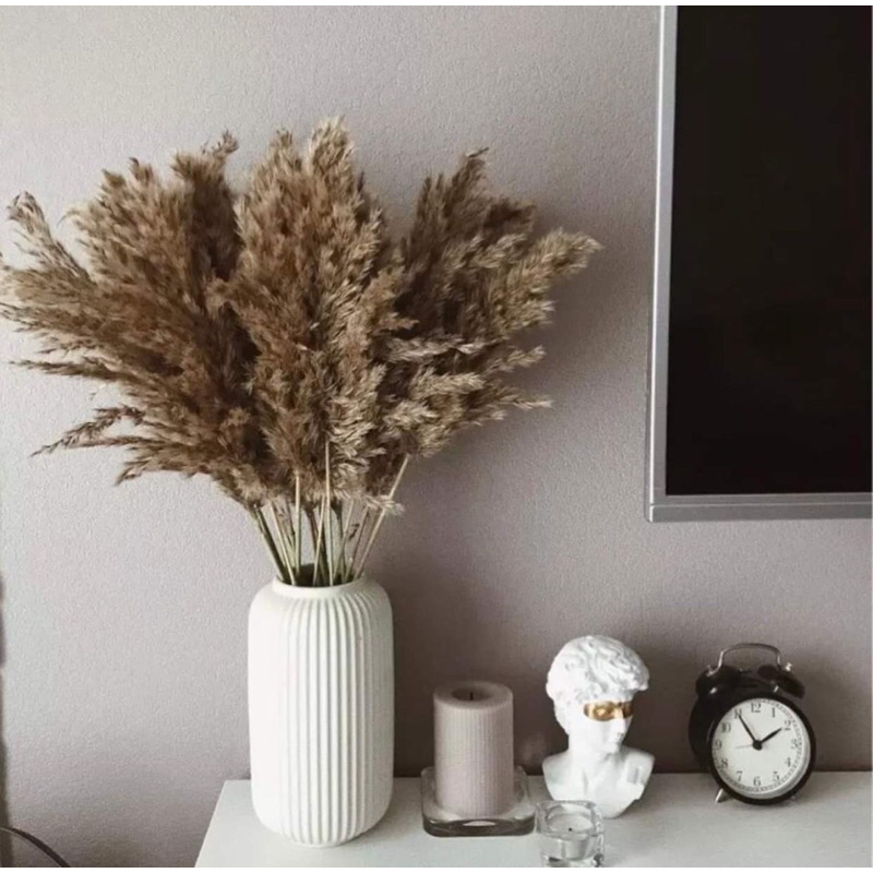 Hoa cỏ lau  xù khô màu xám nâu siêu sang, bông cỏ lau decor vintage màu sáng sang trọng
