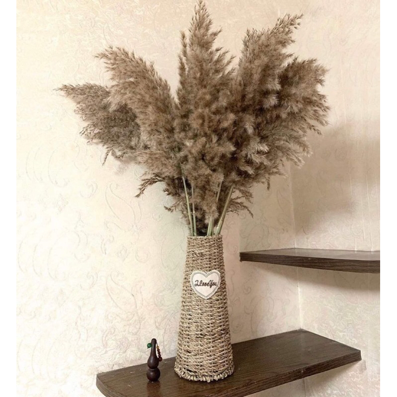 Hoa cỏ lau  xù khô màu xám nâu siêu sang, bông cỏ lau decor vintage màu sáng sang trọng