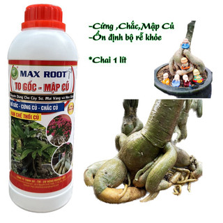 Phân bón to củ max root chai 1 lít – cứng củ, mập củ, chắc củ, hạn chế dộp củ, thối củ