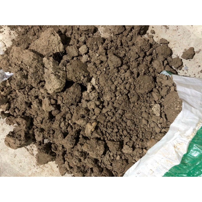 Đất Bùn khô trồng Sen bịch 6kg