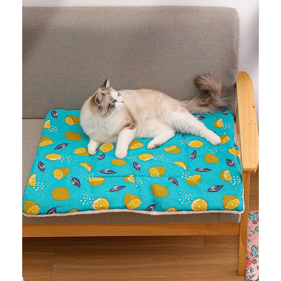 Thảm nằm cho chó mèo_ Nệm cho chó mèo