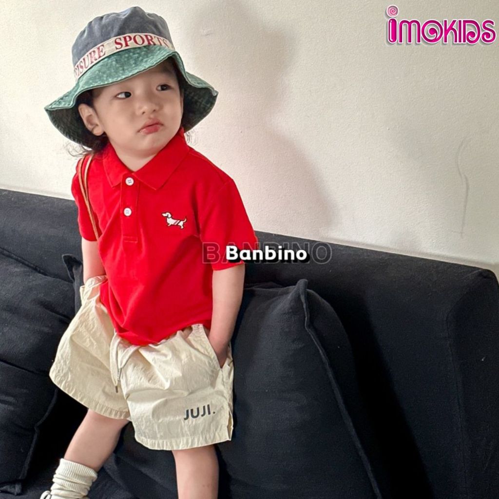Áo polo cho bé trai Banbino 09- 20kg áo thun có cổ trẻ em chất cotton cao cấp mềm mịn thấm hút mồ hôi thỏa mái QATE