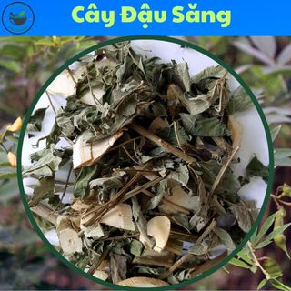 CÂY LÁ ĐẬU SĂNG - Túi 500g và 1kg loại khô, hàng mới