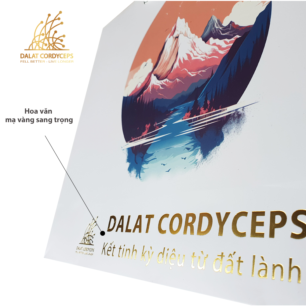 Túi giấy quà tặng cao cấp - Dalat Cordyceps
