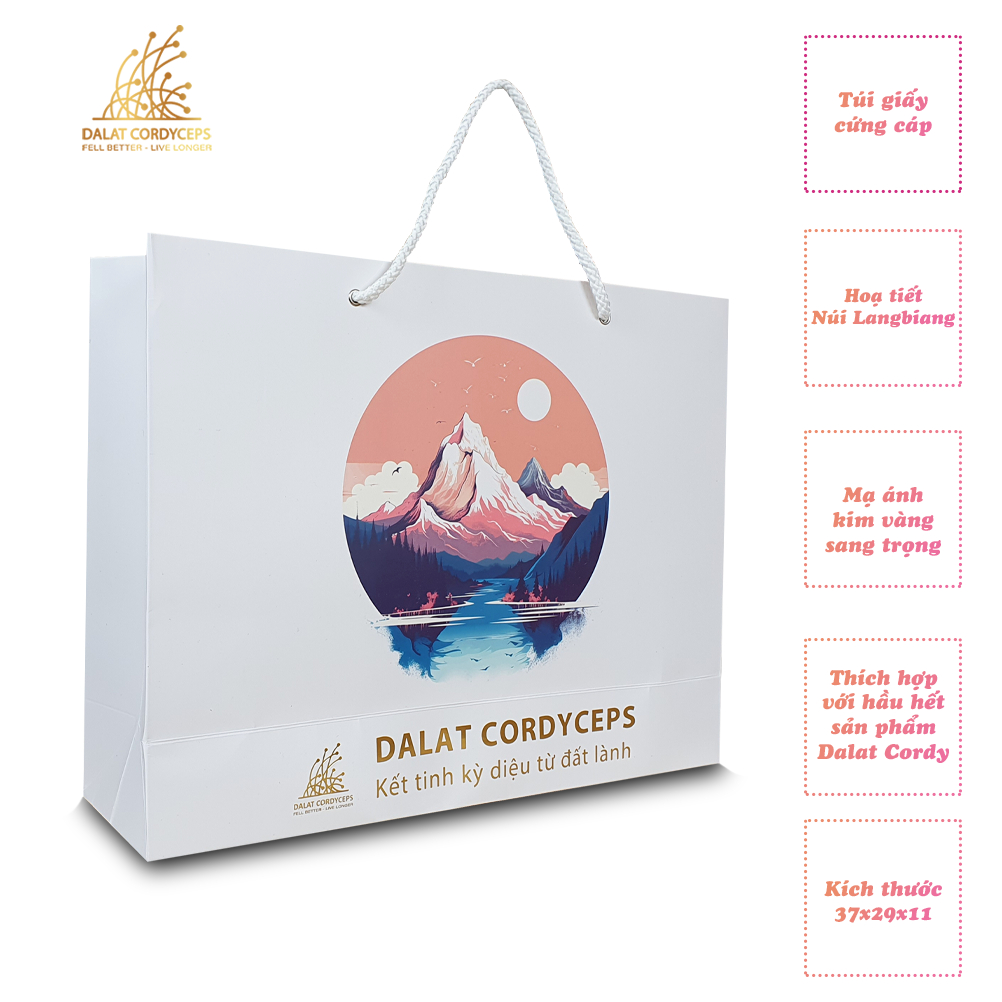 Túi giấy quà tặng cao cấp - Dalat Cordyceps