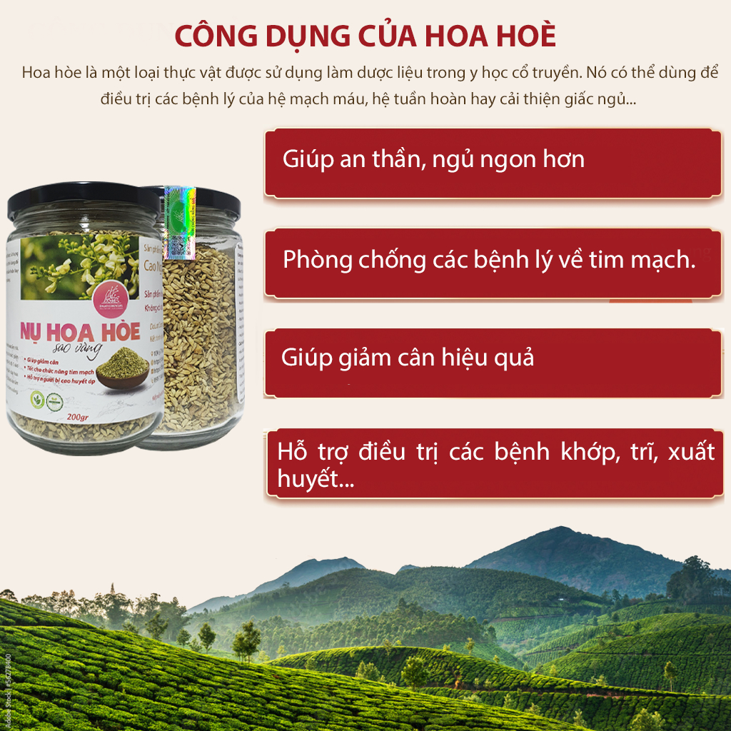 Trà nụ hoa hoè khô sao vàng - Dalat Cordyceps - Loại thượng hạng