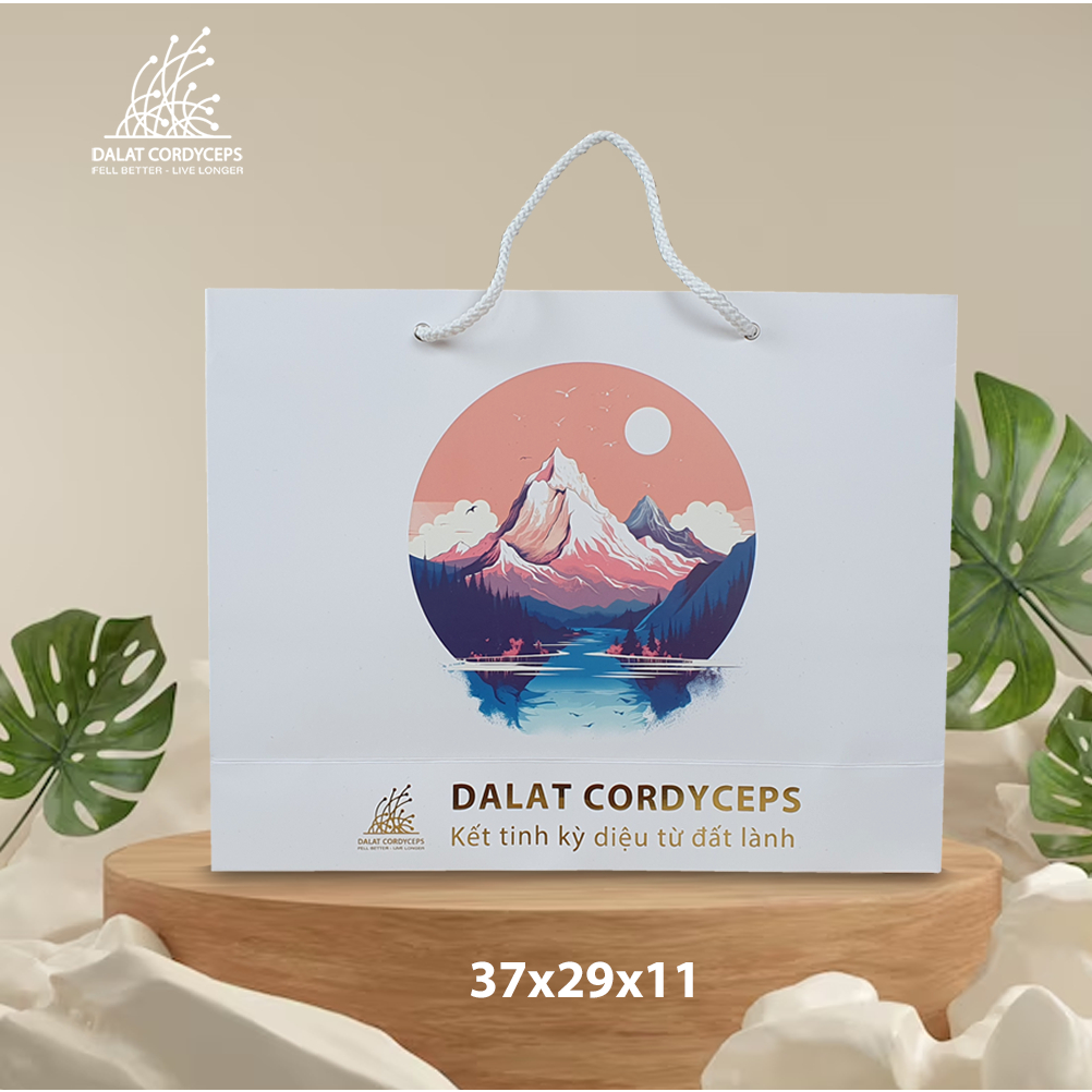 Túi giấy quà tặng cao cấp - Dalat Cordyceps
