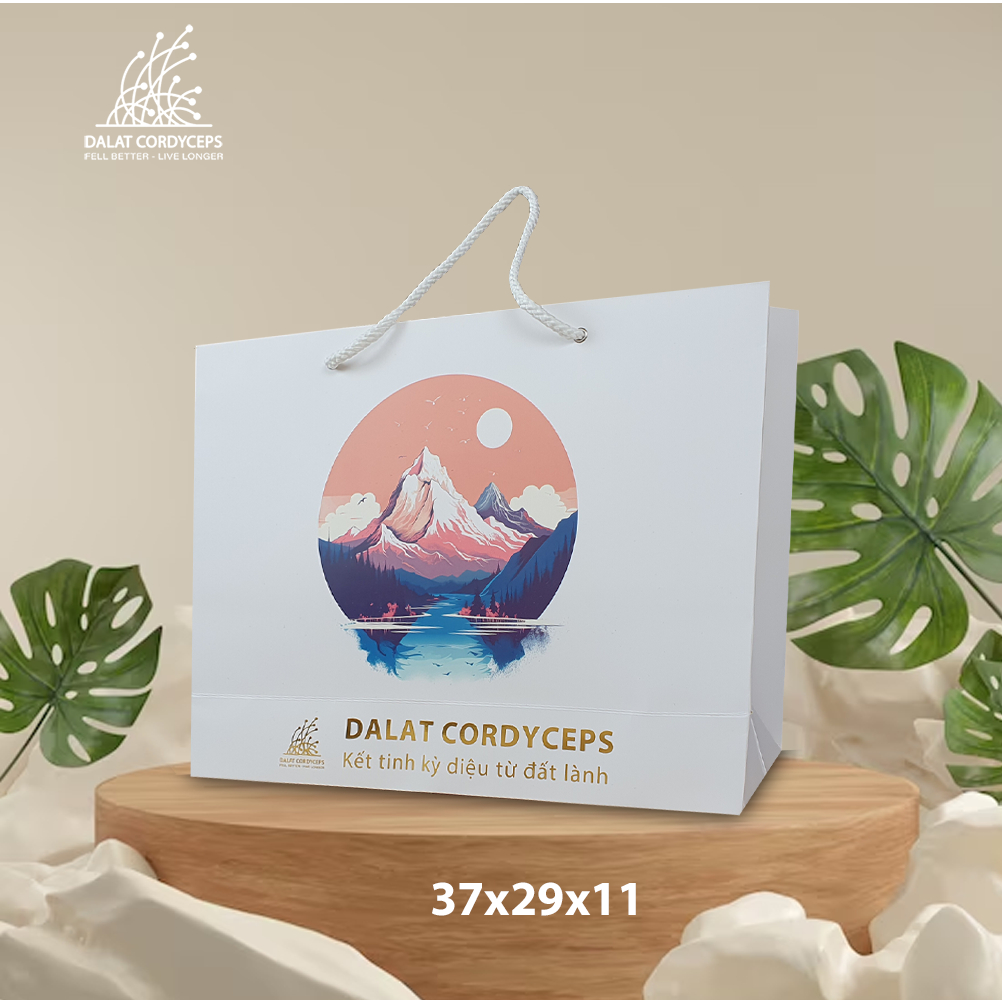 Túi giấy quà tặng cao cấp - Dalat Cordyceps