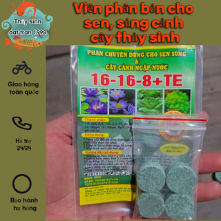 Viên phân bón cho sen, súng cảnh, cây thủy sinh
