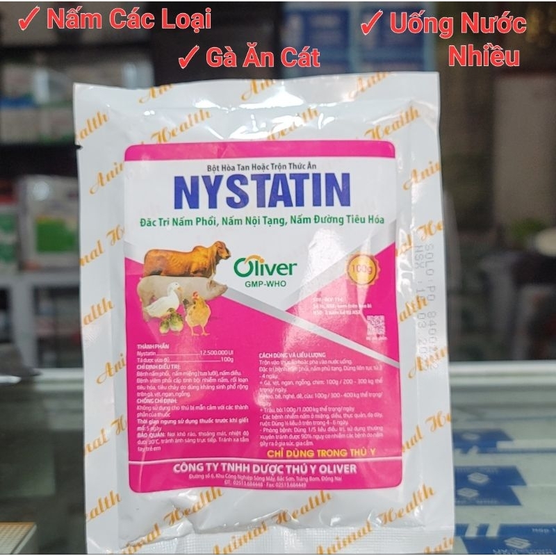 Gói Nystatin 100g nấm phổi, nấm nội tạng, nấm đường tiêu hóa, gà ăn cát uống nước nhiều chuyên dùng cho thú cưng