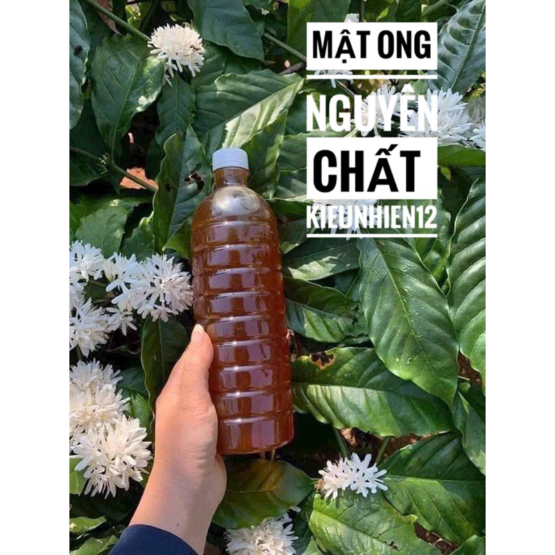 Mật ong hoa cà phê chai 1 lít = 1kg3