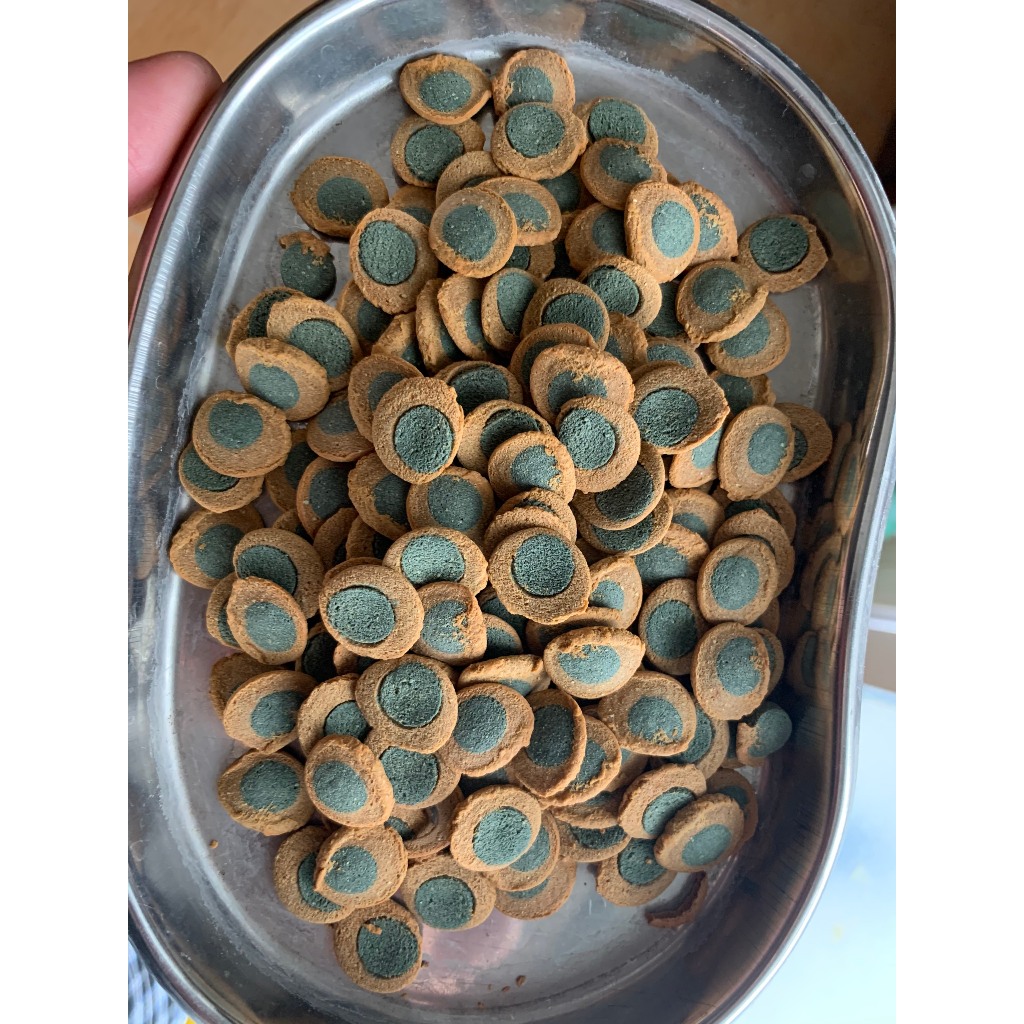 TETRA PRO PLECOWAFERS : Thức ăn cao cấp cho cá Pleco & cá tầng đáy TETRA PRO PLECO WAFERS