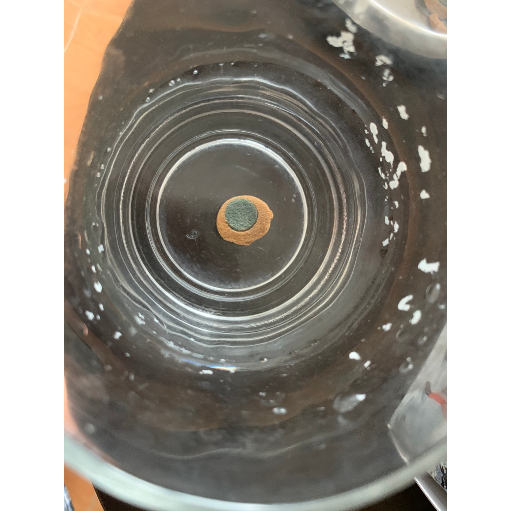 TETRA PRO PLECOWAFERS : Thức ăn cao cấp cho cá Pleco & cá tầng đáy TETRA PRO PLECO WAFERS