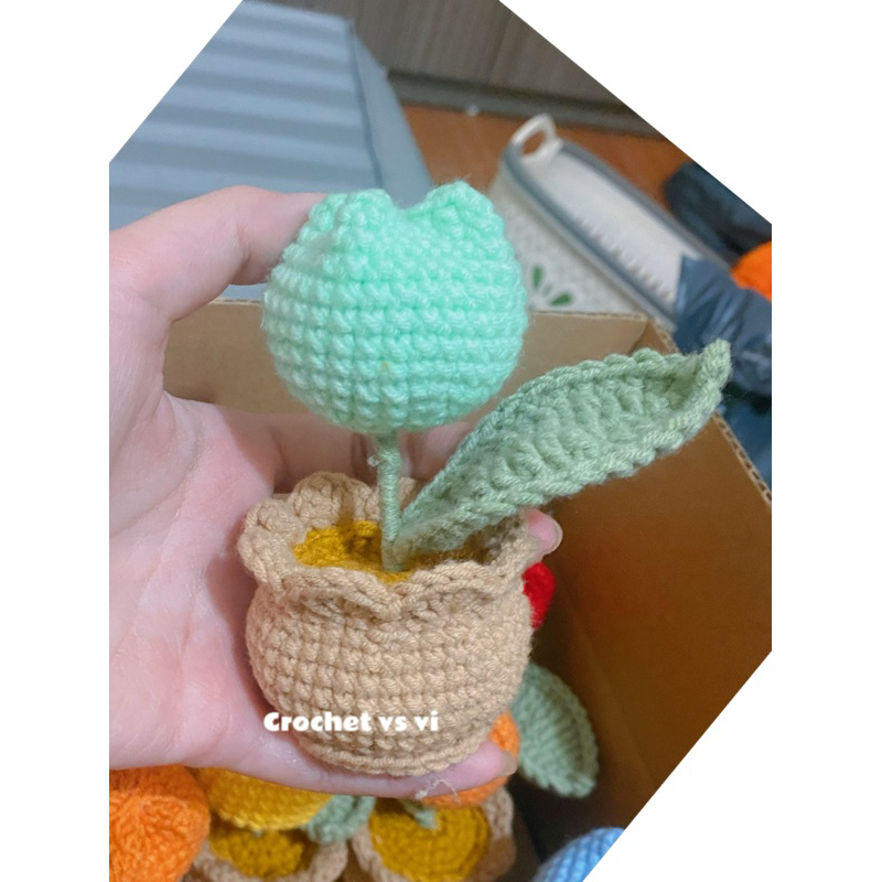 Chậu hoa tulip bằng len mini để bàn, trang trí nhà, quà tặng dễ thương | ảnh shop tự chụp|