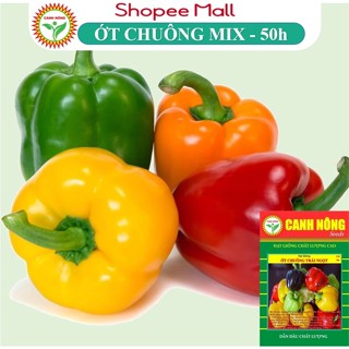 Hạt Giống Ớt Chuông Ngọt Nhiều Màu(0.5g), Trái Sai, Trồng Quanh Năm, Ngọt Thơm - Hạt Giống CANH NÔNG