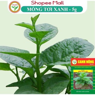 Hạt giống mồng tơi lá to cao sản, dễ trồng, dễ chăm - hạt giống canh nông