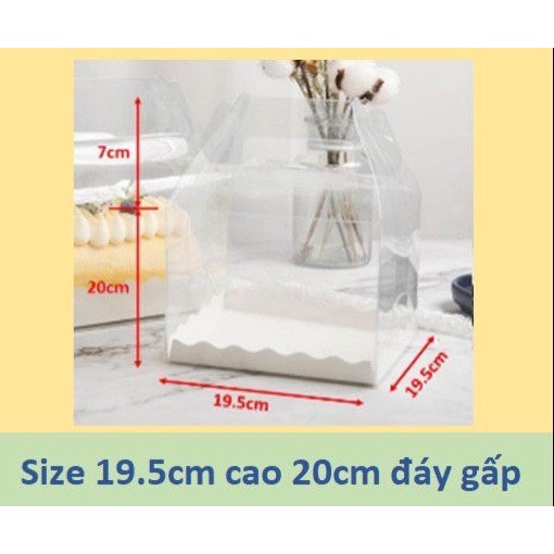 Hộp meka 19cm x 19cm (set 5 cái)