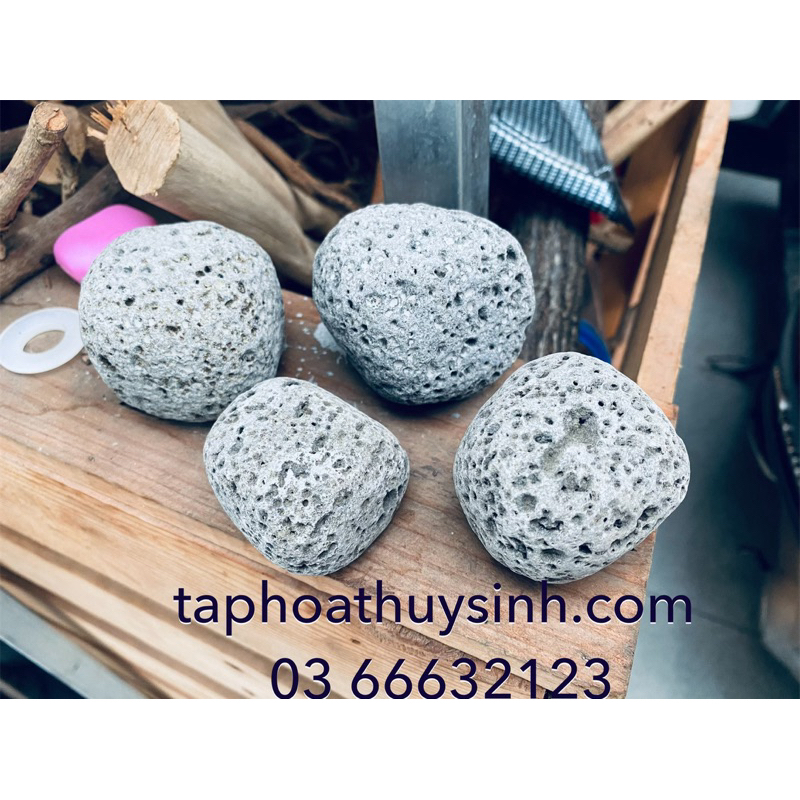 1 viên ĐÁ CUỘI TRỨNG NHỎ NHIỀU LỖ SIÊU ĐẸP TRANG TRÍ