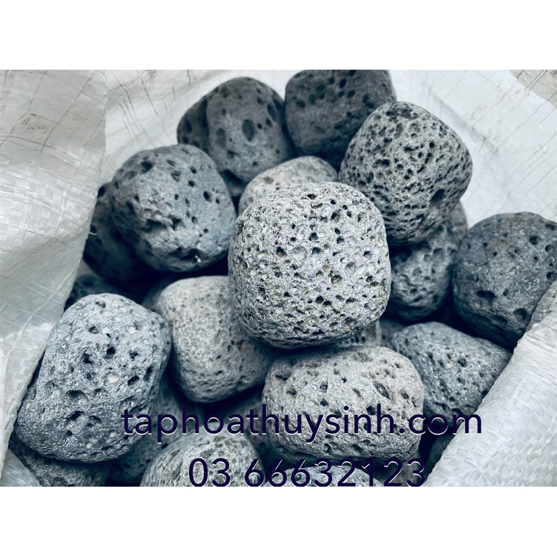 1 viên ĐÁ CUỘI TRỨNG NHỎ NHIỀU LỖ SIÊU ĐẸP TRANG TRÍ