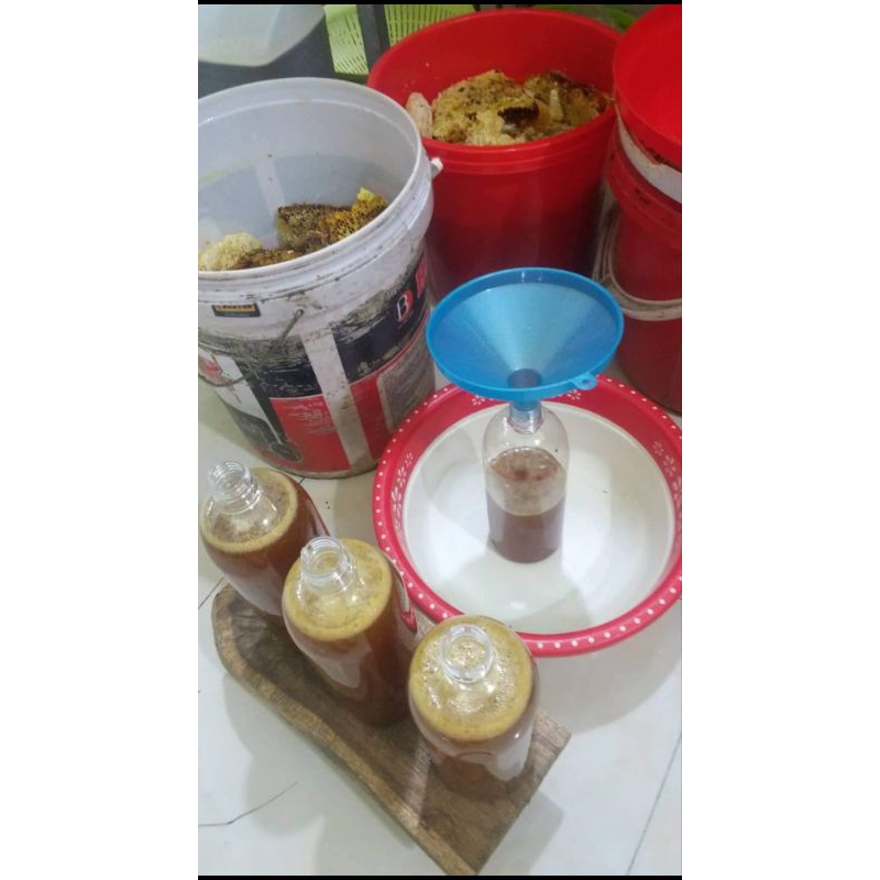 mật ong đen rừng Tây Bắc ( chính gốc )