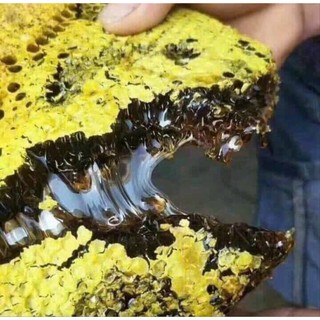 mật ong đen rừng Tây Bắc ( chính gốc )