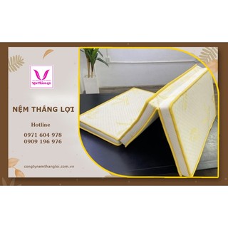 Nêm cao su gold latex gấp 3 hàng chính hãng bảo hành 15 năm về sụt lún