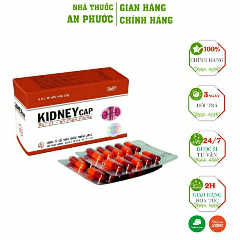 Kidneycap Bát vị Bổ Thận Dương OPC ⚡CAM KẾT CHÍNH HÃNG ⚡Hộp 5 vỉ x 10 viên nang cứng