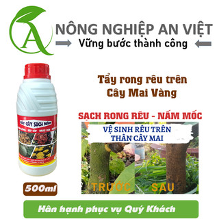 Tẩy rong rêu cây mai vàng, tẩy cây rêu đỏ 480ml, sạch rong rêu, muội đen, nấm hồng