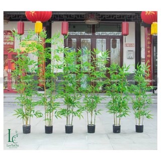 Combo 5 cây trúc giả, trúc quân tử giả trang trí 120cm - 200cm