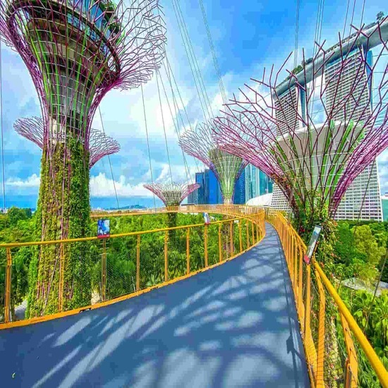 Singapore 3N2Đ: Tặng vé tham quan Floral Fantasy Dome