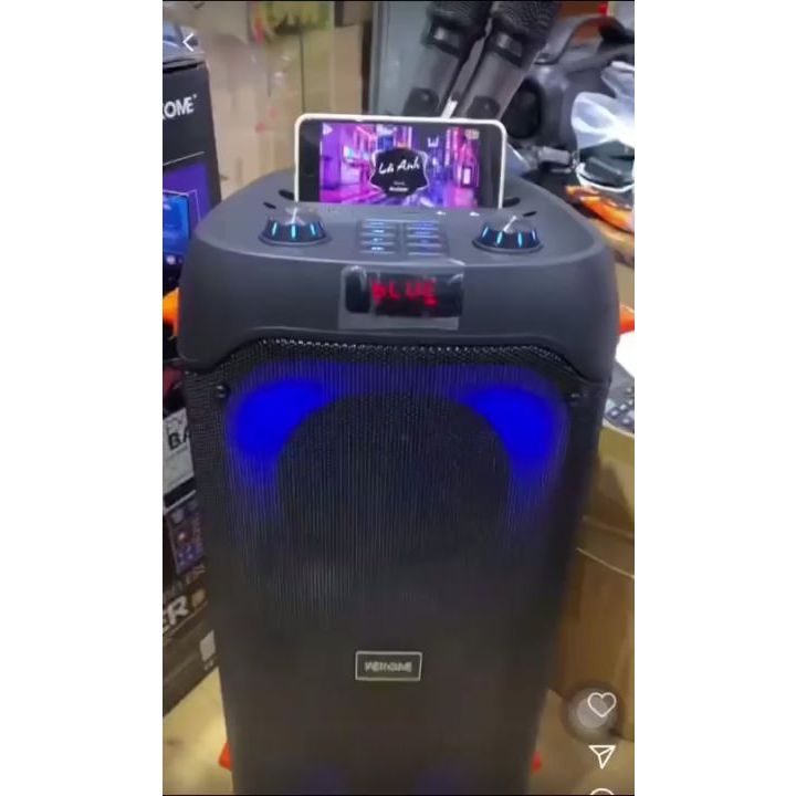 Loa Bluetooth Karaoke tích hợp LED RGB Wekome D39 kèm 2 micro không dây