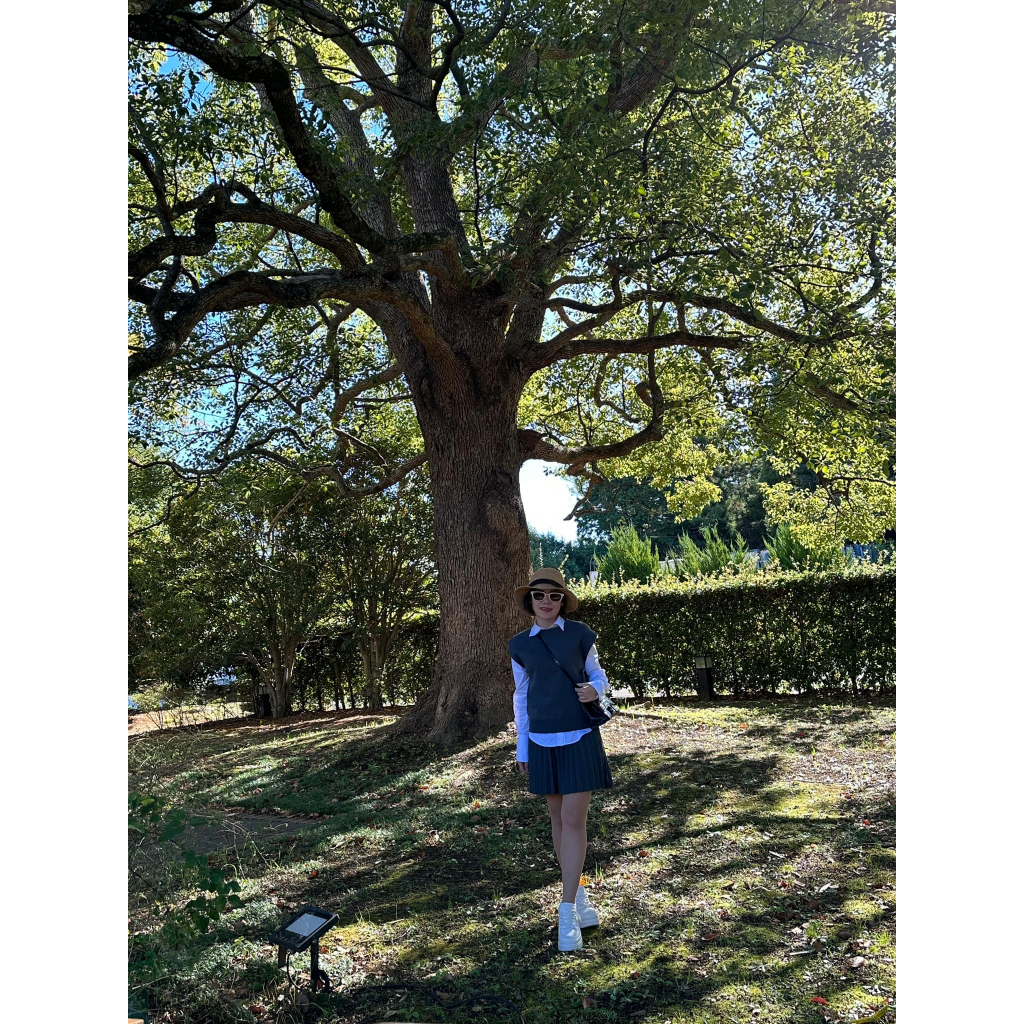 Áo gile ZzR xám hot trend nữ