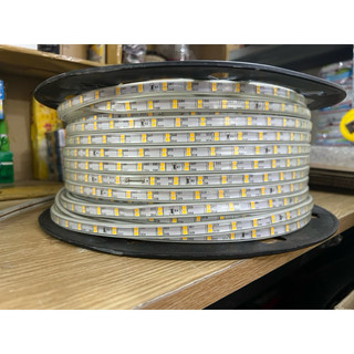 Dây Đèn Led 2835 3 hàng bóng ( Combo 3-5-10 mét kèm nguồn )