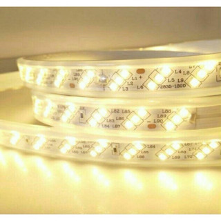 Dây đèn led 2835 3 hàng bóng