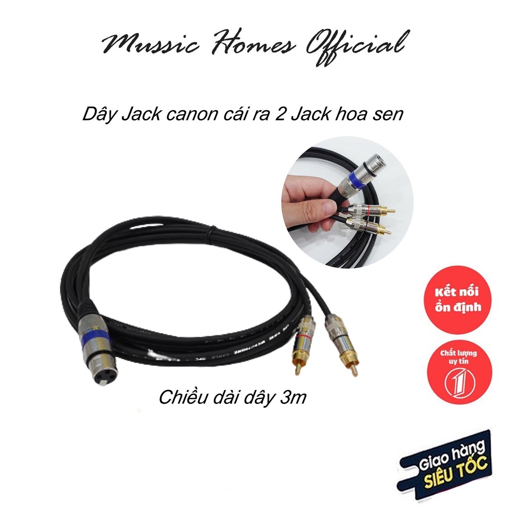 Dây Jack canon cái ra 2 Jack hoa sen dài 3m | Dây vang cơ, vang số ra loa Sub, dây canon sang av - Tín hiệu ổn định