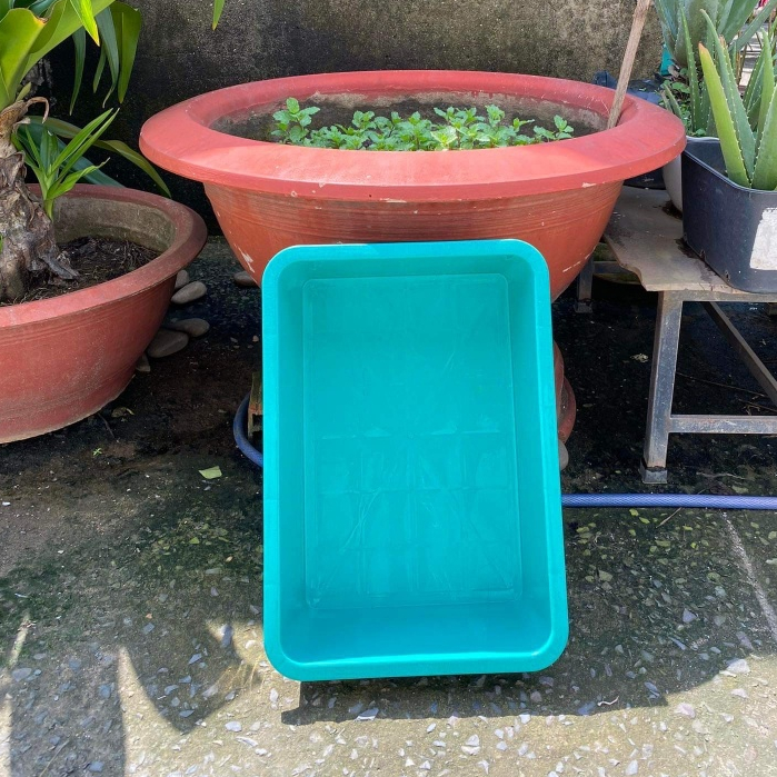 Khay nhựa nuôi cá 20 lít