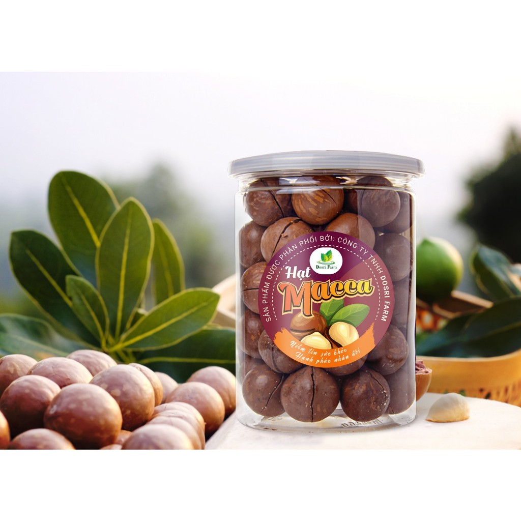 Hạt Macca Đăk Lăk