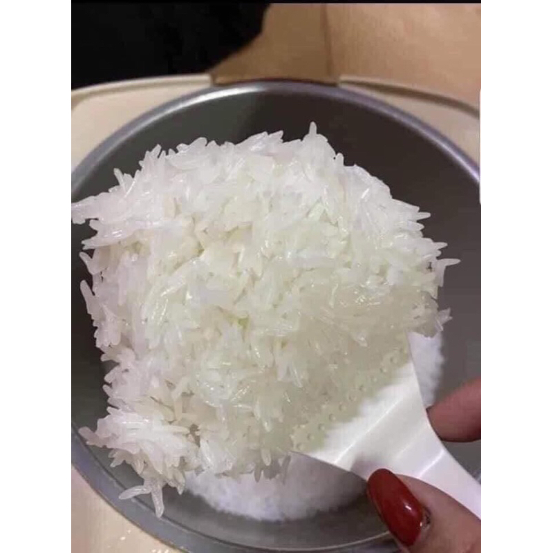Gạo tám thái nhập khẩu hàng chuẩn loại 1