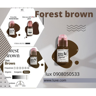 [Chính hãng] mực chân mày perma blend