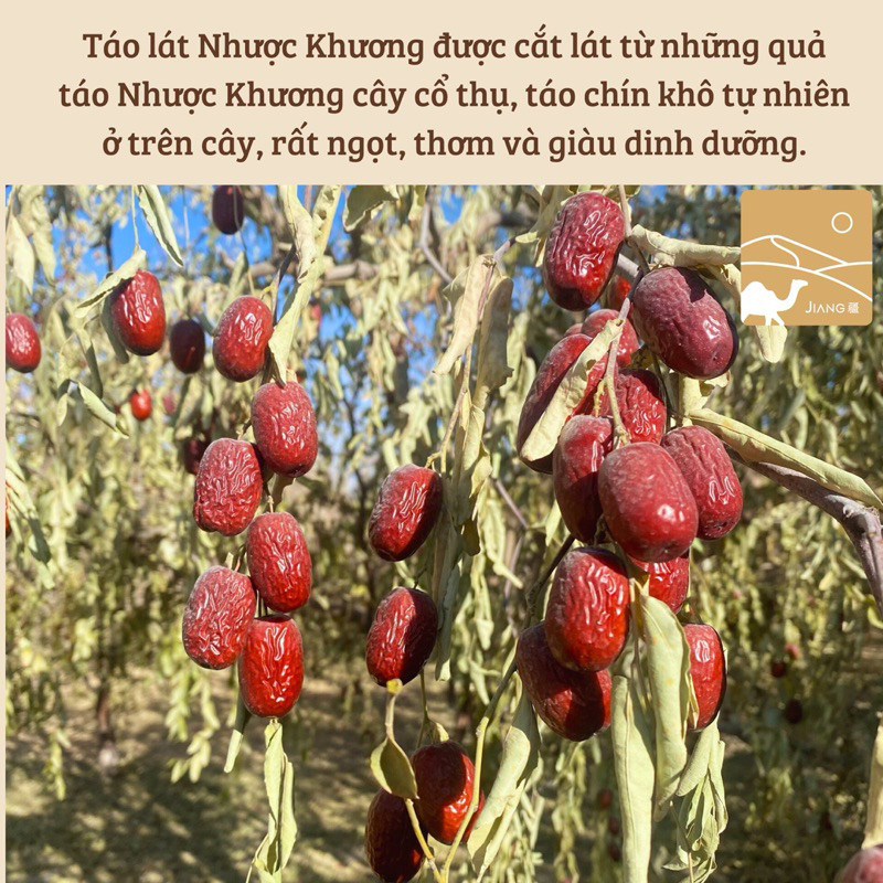 Táo Lát Nhược Khương, Tân Cương Thượng Hạng  - Jiang