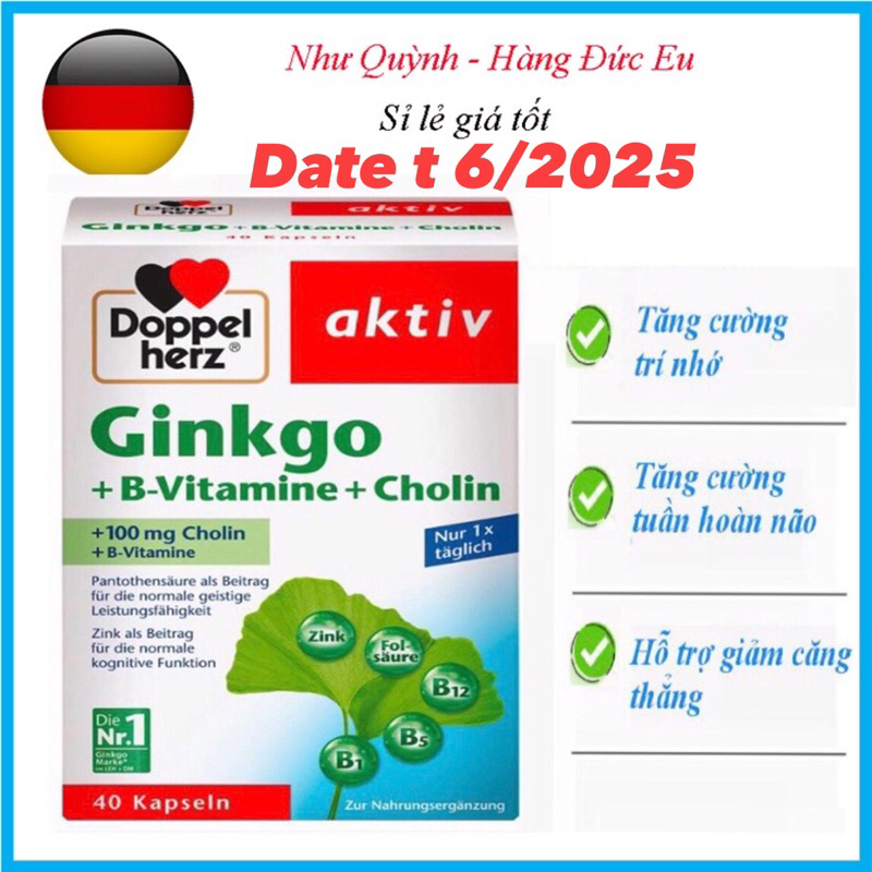 [ Hàng Đủ Bill ] viên uống Bổ não Ginkgo Doppel herz 40v Hàng Đức [ Date 2025]