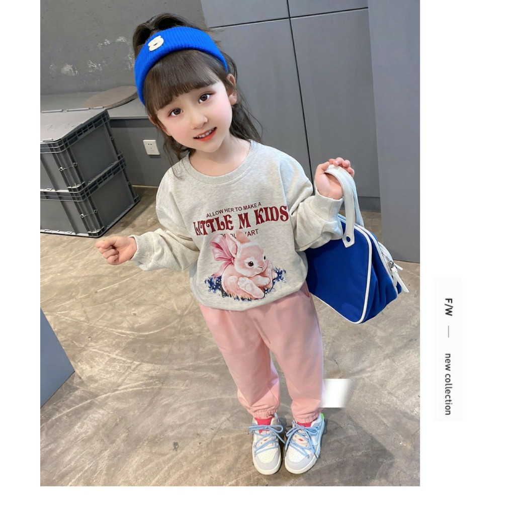 Bộ quần áo thu đông dài tay cho bé gái cao cấp từ 8-20kg
