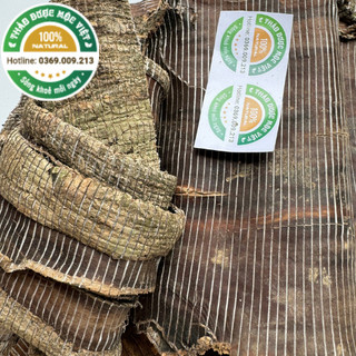 Đỗ Trọng 500g Khô Đẹp, Miếng To-  Hàng Công Ty Xuất