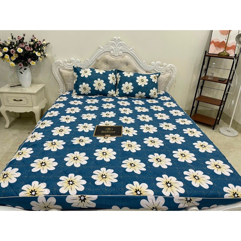 Bộ Ga Chun Cotton Poly Trần bông dày dặn nhiều màu sắc