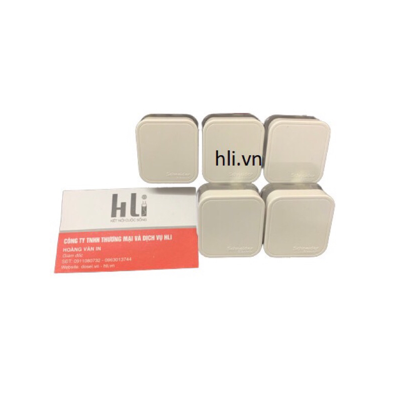 Phích cắm 3 chấu schneider E16P