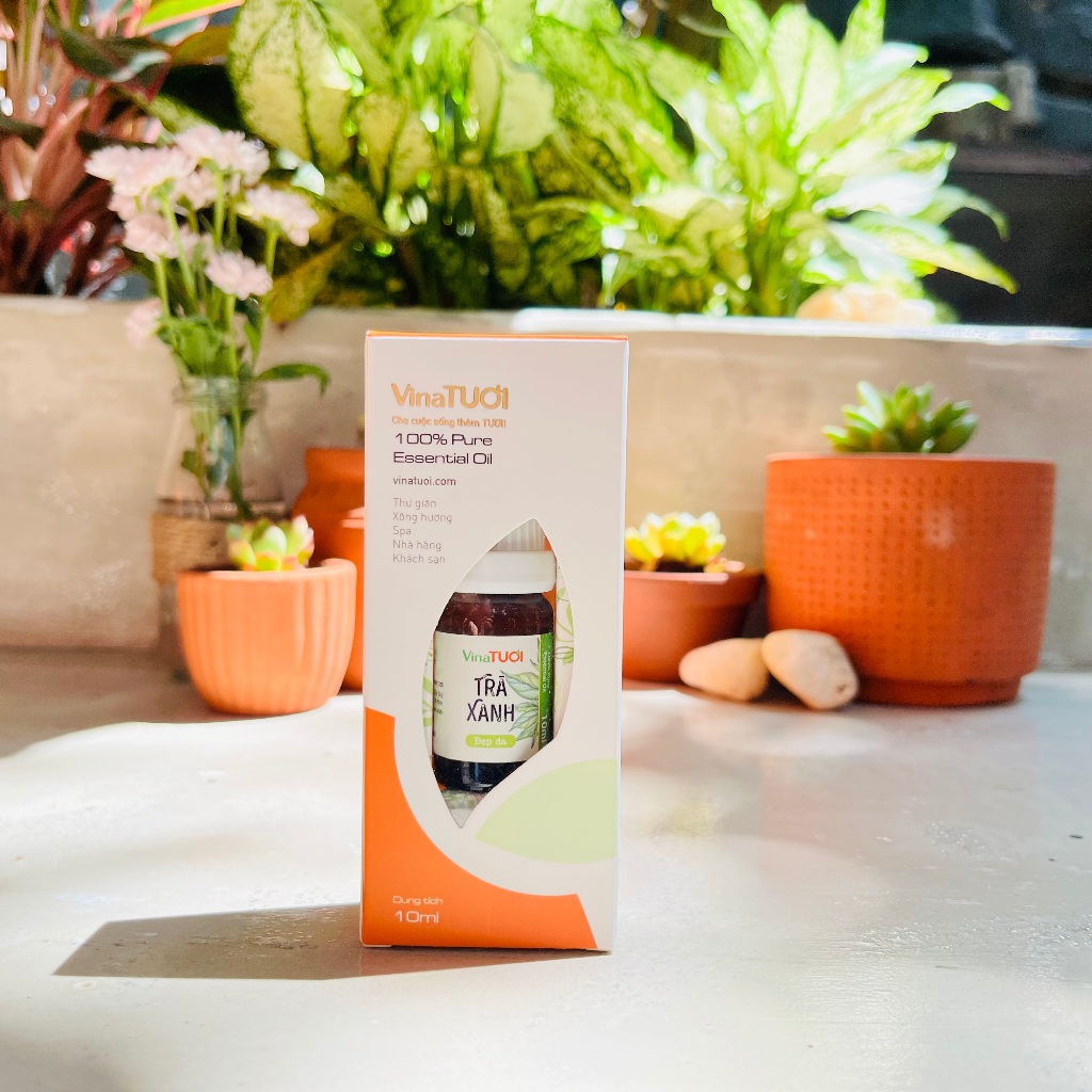 Tinh dầu nguyên chất từ Lá cây VINA TƯƠI 10ml tinh dầu xua đuổi côn trùng, xông hơi xông phòng giải cảm