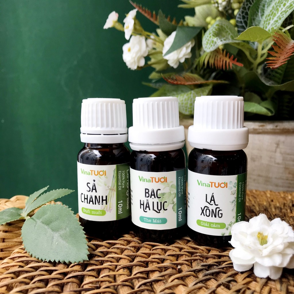 Tinh dầu nguyên chất từ Lá cây VINA TƯƠI 10ml tinh dầu xua đuổi côn trùng, xông hơi xông phòng giải cảm