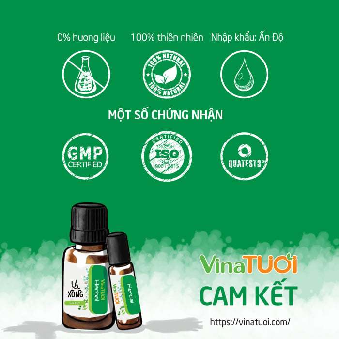 Tinh dầu nguyên chất từ Lá cây VINA TƯƠI 10ml tinh dầu xua đuổi côn trùng, xông hơi xông phòng giải cảm